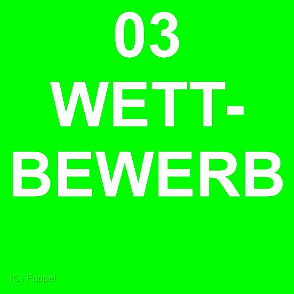 0 03 WETTBEWERB.jpg